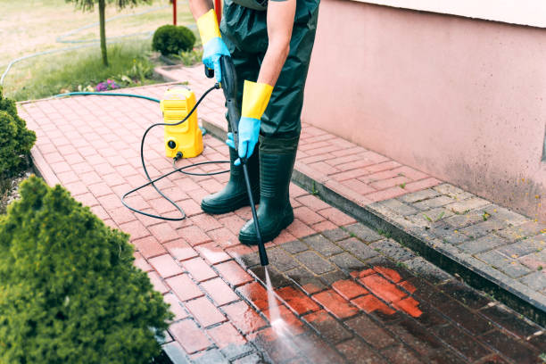 Best House Exterior Washing  in Belleview, FL
